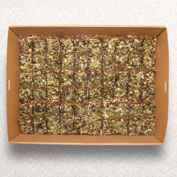 VeganGF Fig & Cranberry Bar (2)